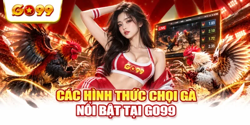 Các hình thức chọi gà nổi bật tại GO99
